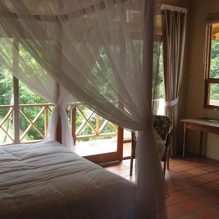 Rio Magnolia Nature Lodge Tinamaste Extérieur photo