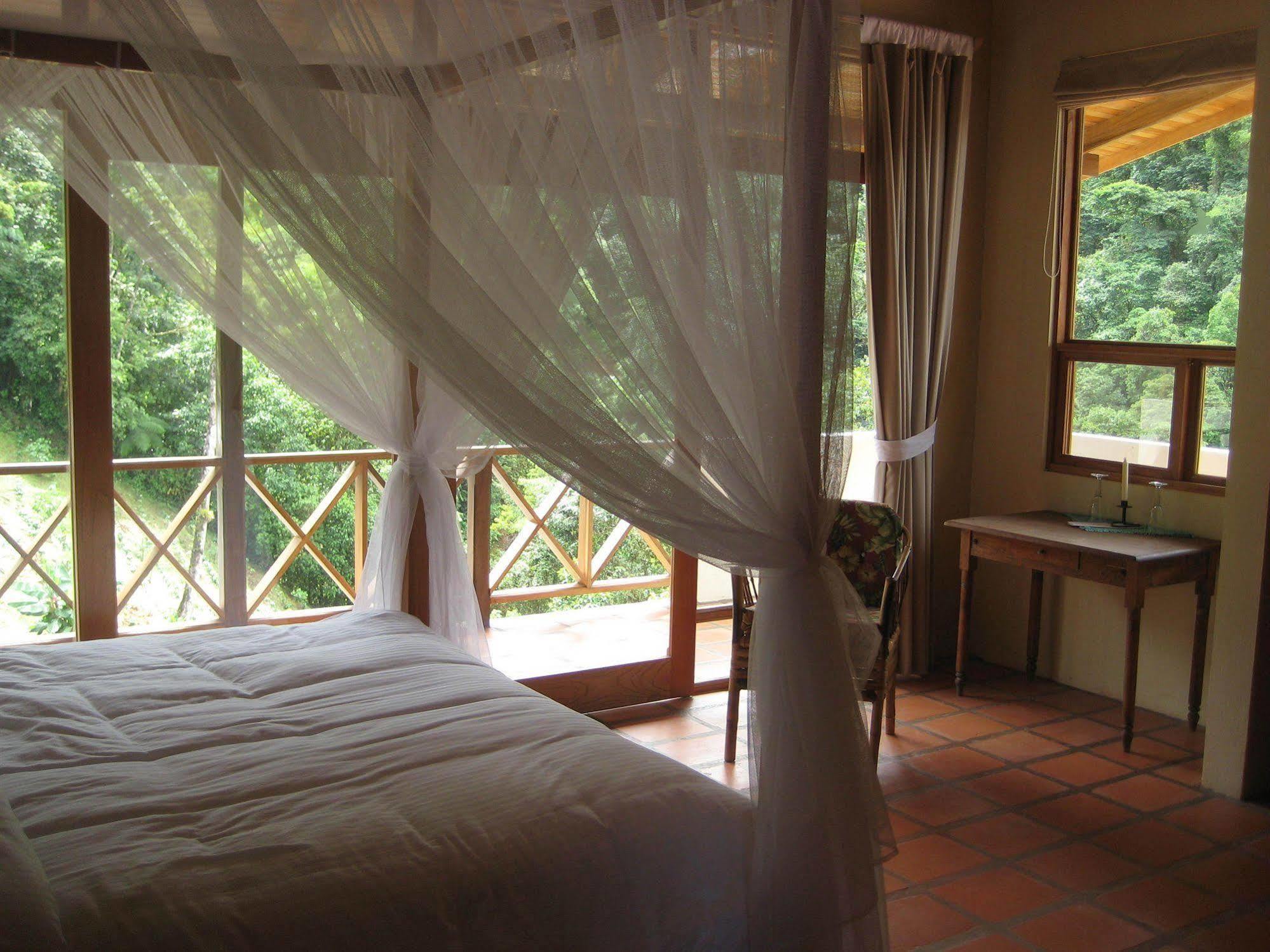 Rio Magnolia Nature Lodge Tinamaste Extérieur photo